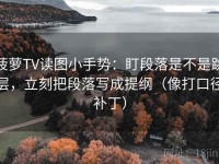 菠萝TV读图小手势：盯段落是不是跳层，立刻把段落写成提纲（像打口径补丁）