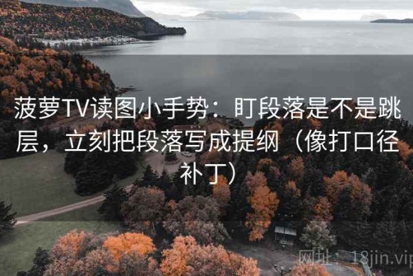 菠萝TV读图小手势：盯段落是不是跳层，立刻把段落写成提纲（像打口径补丁）