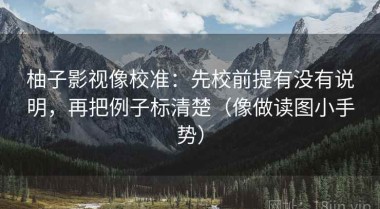 柚子影视像校准：先校前提有没有说明，再把例子标清楚（像做读图小手势）