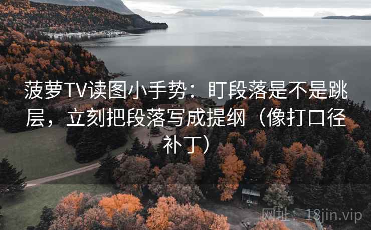 菠萝TV读图小手势：盯段落是不是跳层，立刻把段落写成提纲（像打口径补丁）